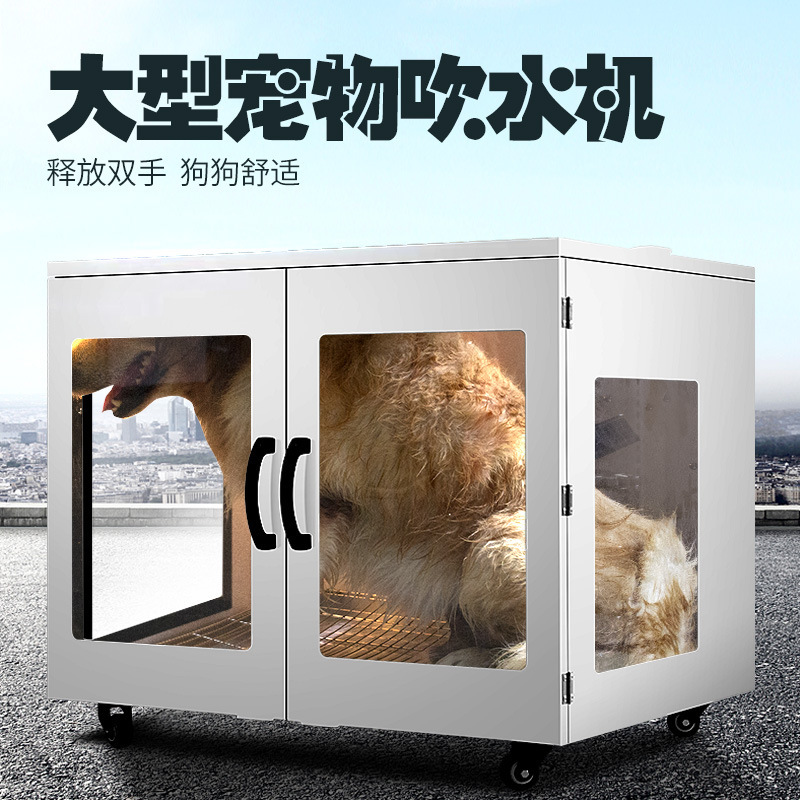 애완동물 건조기, 애완동물 가게용 대형견 대용량 고출력 - Power Tools Store 리뷰 및 가격