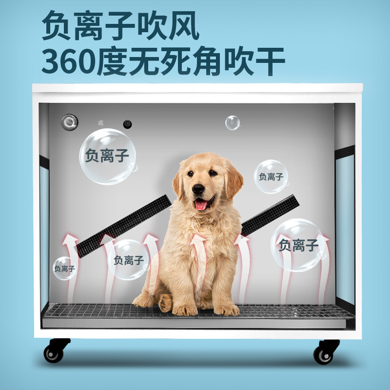 애완동물 건조기, 애완동물 가게용 대형견 대용량 고출력 - Power Tools Store 리뷰 및 가격